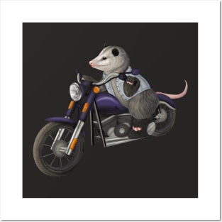 Opossum cruising on a motorcycle Posters and Art